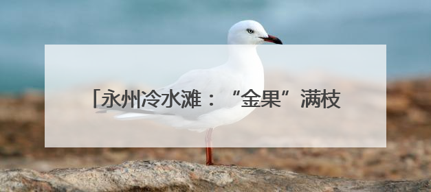 永州冷水滩：“金果”满枝头 蜂糖李“甜蜜”上市