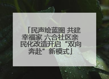 民声绘蓝图 共建幸福家 六合社区亲民化改造开启“双向奔赴”新模式