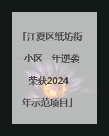 江夏区纸坊街一小区一年逆袭 荣获2024年示范项目