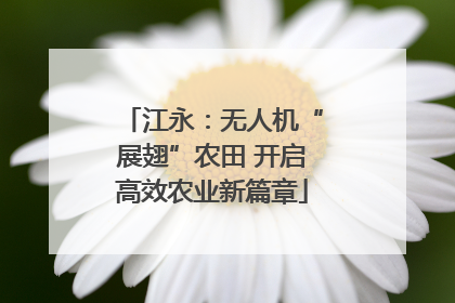 江永：无人机“展翅”农田 开启高效农业新篇章