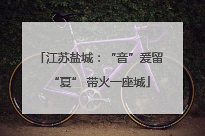 江苏盐城：“音”爱留“夏” 带火一座城