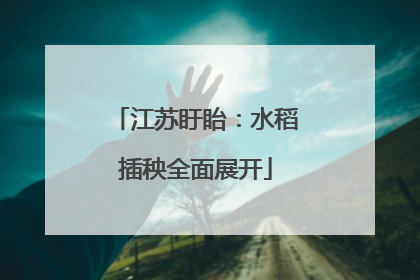 江苏盱眙：水稻插秧全面展开