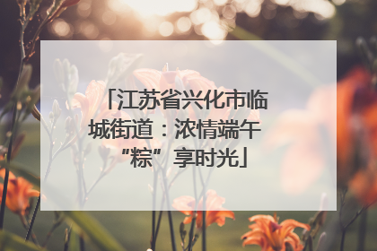 江苏省兴化市临城街道：浓情端午 “粽”享时光