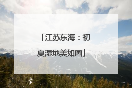 江苏东海：初夏湿地美如画
