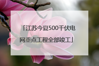 江苏今夏500千伏电网重点工程全部竣工
