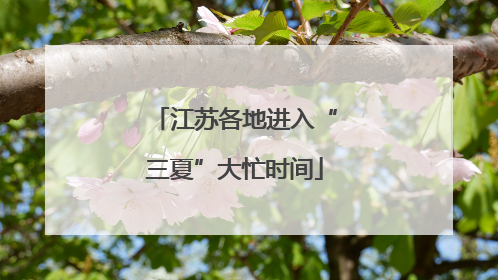 江苏各地进入“三夏”大忙时间