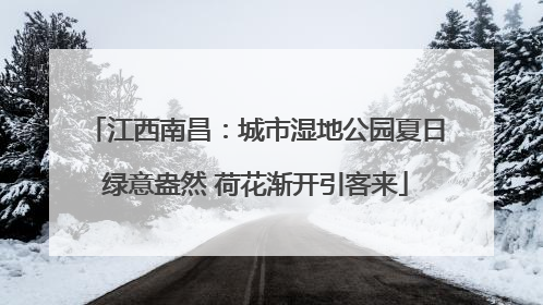 江西南昌：城市湿地公园夏日绿意盎然 荷花渐开引客来