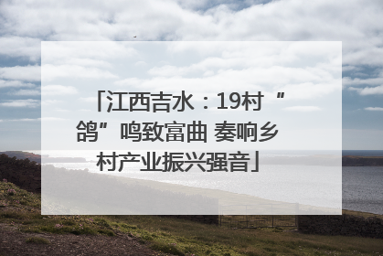 江西吉水：19村“鸽”鸣致富曲 奏响乡村产业振兴强音
