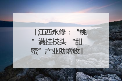 江西永修：“桃”满挂枝头 “甜蜜”产业助增收