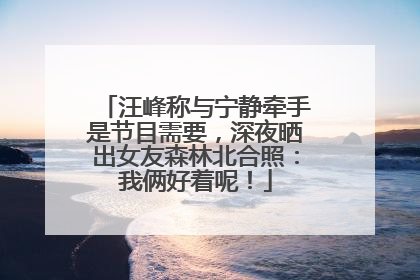 汪峰称与宁静牵手是节目需要，深夜晒出女友森林北合照：我俩好着呢！