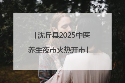 沈丘县2025中医养生夜市火热开市