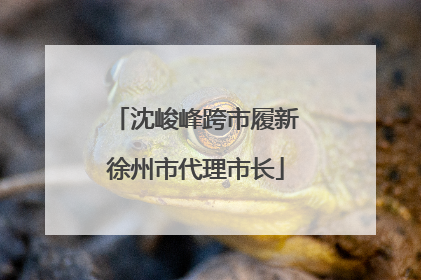 沈峻峰跨市履新徐州市代理市长