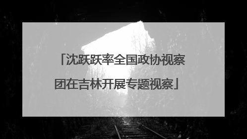 沈跃跃率全国政协视察团在吉林开展专题视察