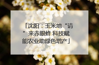 沈阳：玉米地“请”来赤眼蜂 科技赋能农业助绿色增产