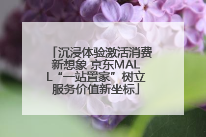 沉浸体验激活消费新想象 京东MALL“一站置家”树立服务价值新坐标