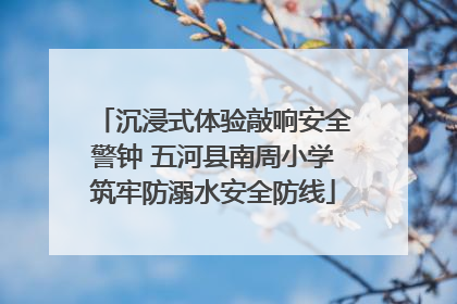 沉浸式体验敲响安全警钟 五河县南周小学筑牢防溺水安全防线