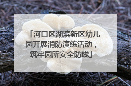 河口区湖滨新区幼儿园开展消防演练活动，筑牢园所安全防线