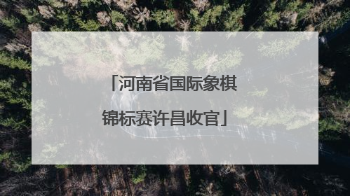 河南省国际象棋锦标赛许昌收官