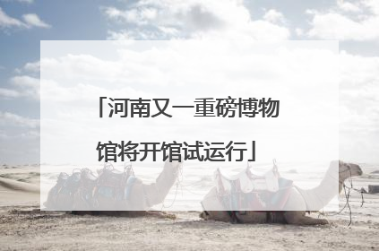河南又一重磅博物馆将开馆试运行