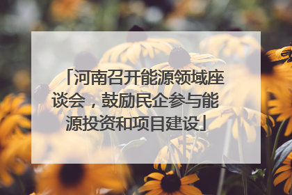 河南召开能源领域座谈会，鼓励民企参与能源投资和项目建设
