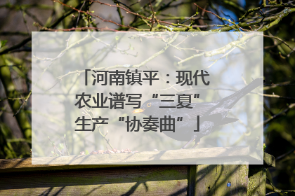 河南镇平：现代农业谱写“三夏”生产“协奏曲”