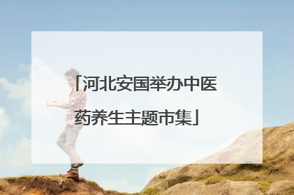 河北安国举办中医药养生主题市集