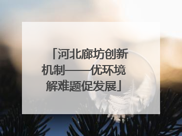 河北廊坊创新机制——优环境解难题促发展