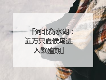 河北衡水湖：近万只夏候鸟进入繁殖期
