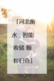 河北衡水：智能收储 颗粒归仓