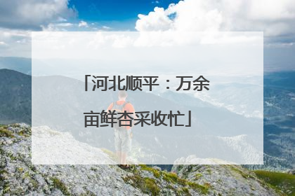 河北顺平：万余亩鲜杏采收忙