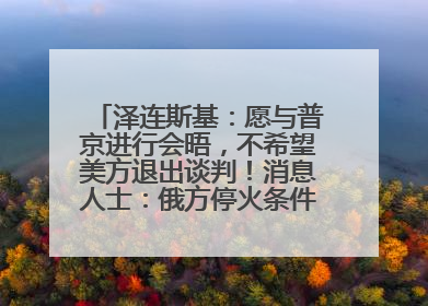 泽连斯基：愿与普京进行会晤，不希望美方退出谈判！消息人士：俄方停火条件包括北约“书面”保证不东扩