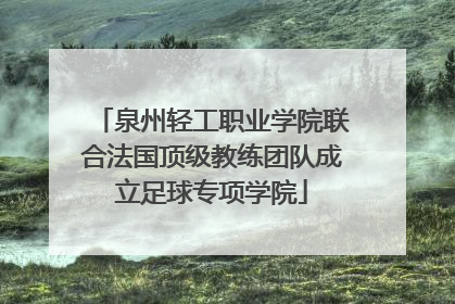 泉州轻工职业学院联合法国顶级教练团队成立足球专项学院