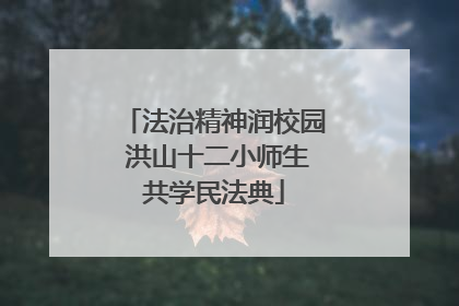 法治精神润校园 洪山十二小师生共学民法典