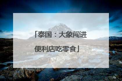 泰国：大象闯进便利店吃零食