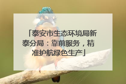 泰安市生态环境局新泰分局：靠前服务，精准护航绿色生产