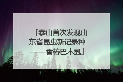 泰山首次发现山东省昆虫新记录种——香椿巴木虱