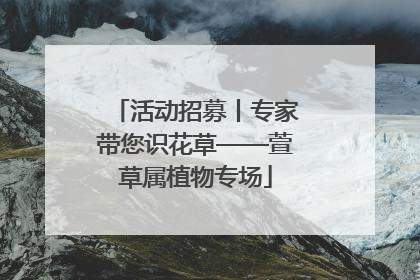 活动招募丨专家带您识花草——萱草属植物专场
