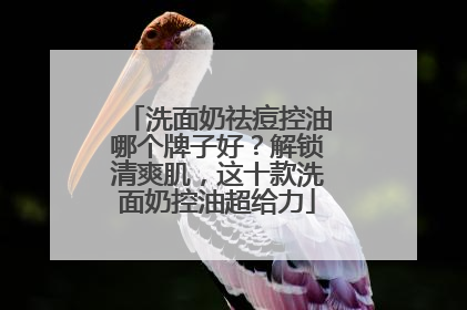 洗面奶祛痘控油哪个牌子好？解锁清爽肌，这十款洗面奶控油超给力