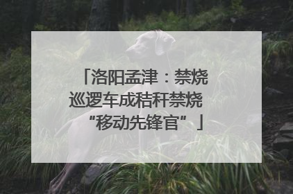 洛阳孟津：禁烧巡逻车成秸秆禁烧“移动先锋官”