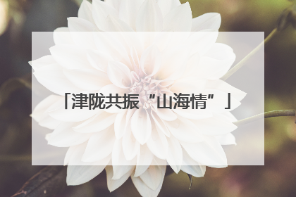 津陇共振“山海情”