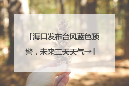 海口发布台风蓝色预警，未来三天天气→