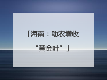 海南：助农增收 “黄金叶”