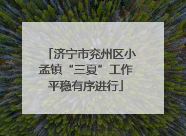 济宁市兖州区小孟镇“三夏”工作平稳有序进行