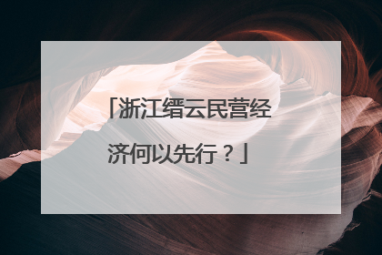 浙江缙云民营经济何以先行？