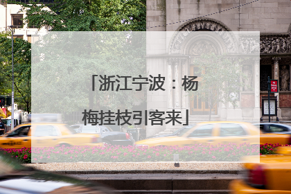浙江宁波：杨梅挂枝引客来