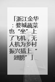 浙江金华：婺城蔬菜也“坐”上了飞机，无人机为乡村振兴插上“翅膀”