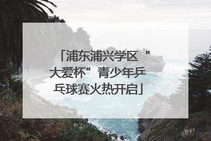 浦东浦兴学区“大爱杯”青少年乒乓球赛火热开启