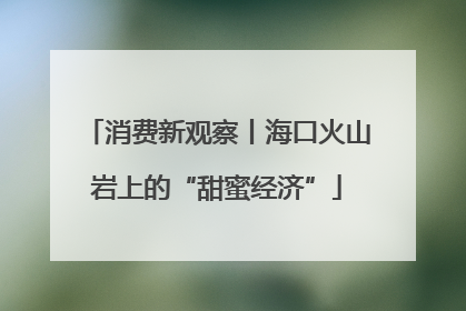 消费新观察丨海口火山岩上的“甜蜜经济”