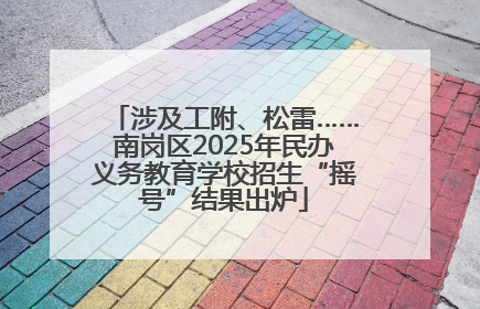 涉及工附、松雷……南岗区2025年民办义务教育学校招生“摇号”结果出炉