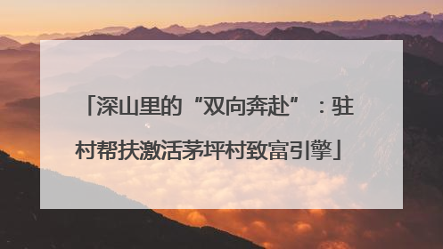 深山里的“双向奔赴”：驻村帮扶激活茅坪村致富引擎